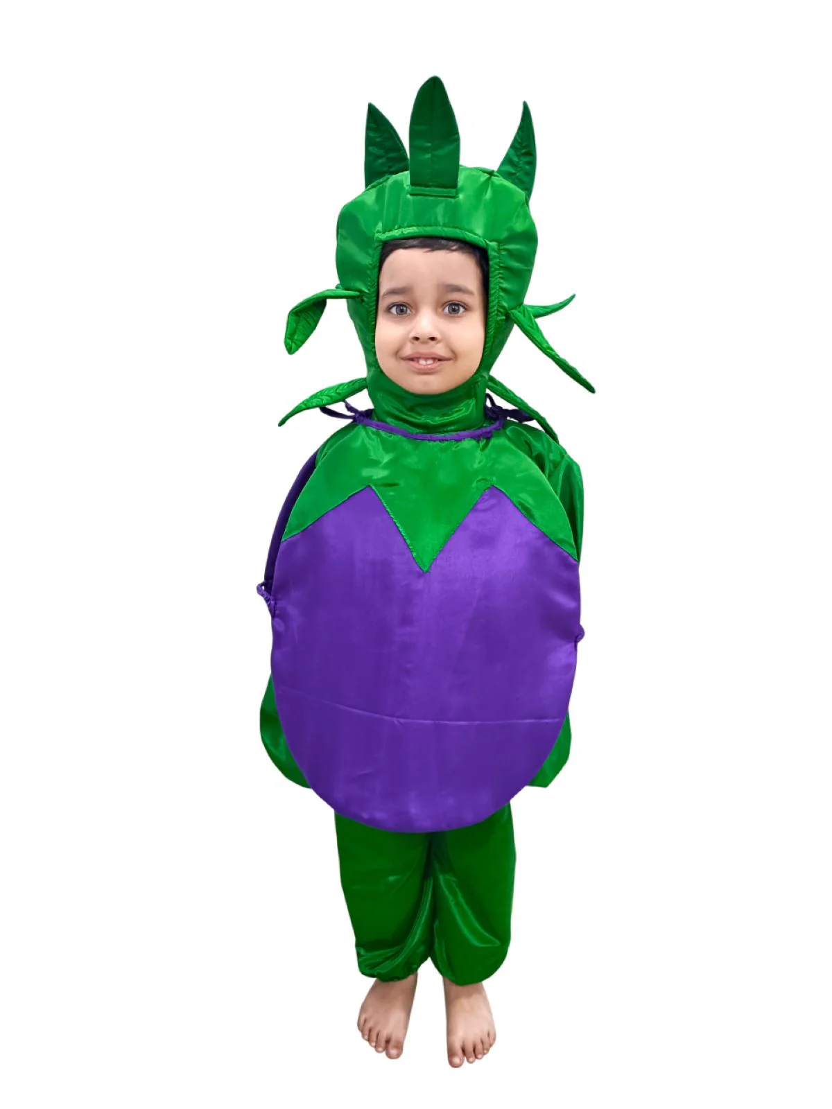 Brinjal Eggplant Baingan Vegetable Kids Fancy Dress Costume