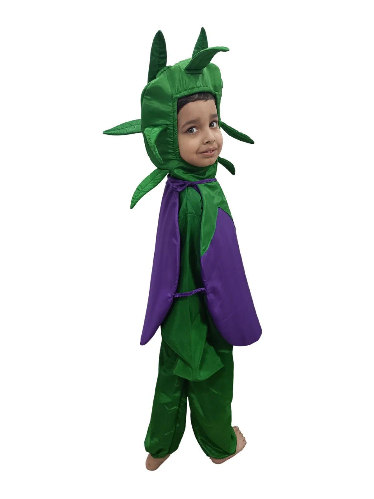 Brinjal Eggplant Baingan Vegetable Kids Fancy Dress Costume - Image 2