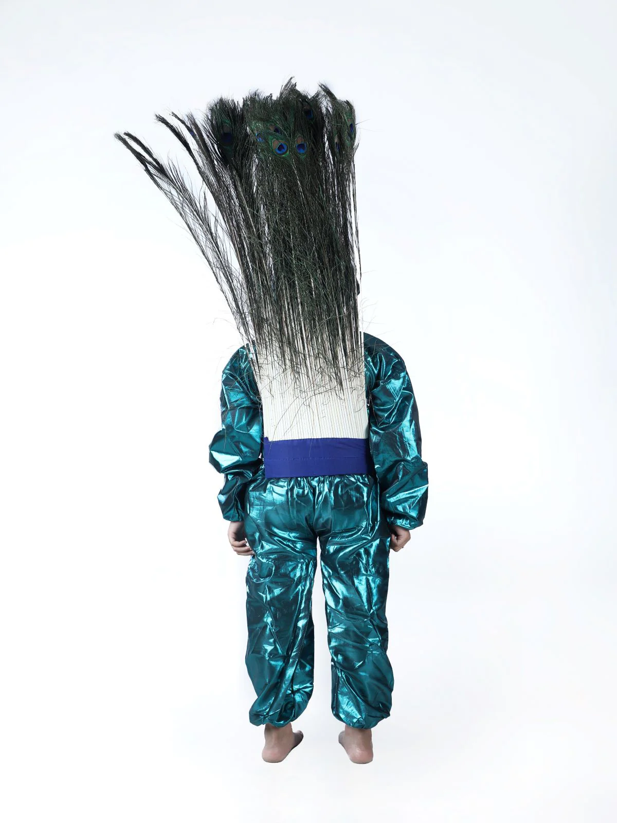 Peacock (with Feathers) Bird Fancy Dress Costume - Image 4