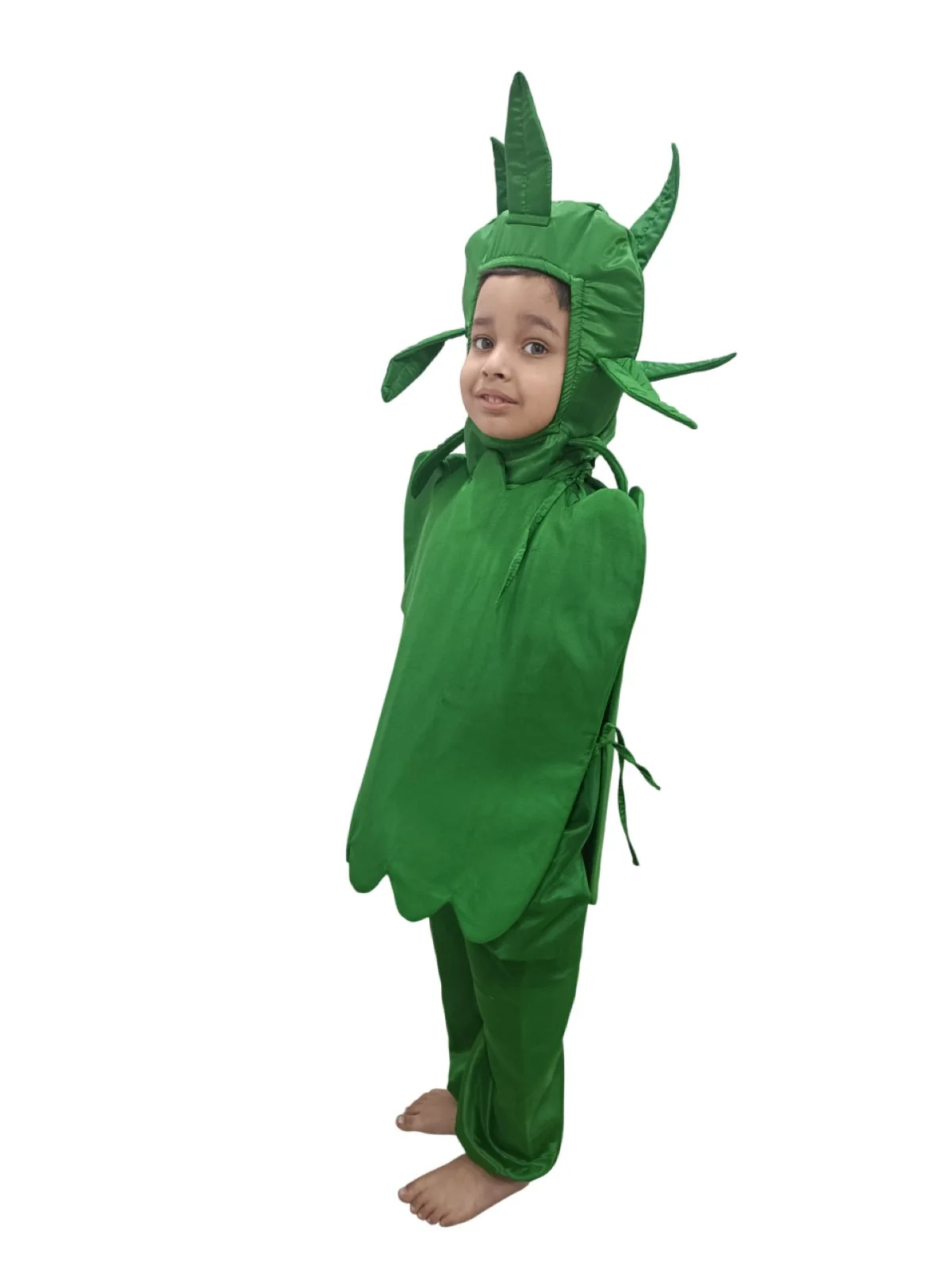 Capsicum Bell Pepper Shimla Mirch Vegetable Kids Fancy Dress Costume - Image 4