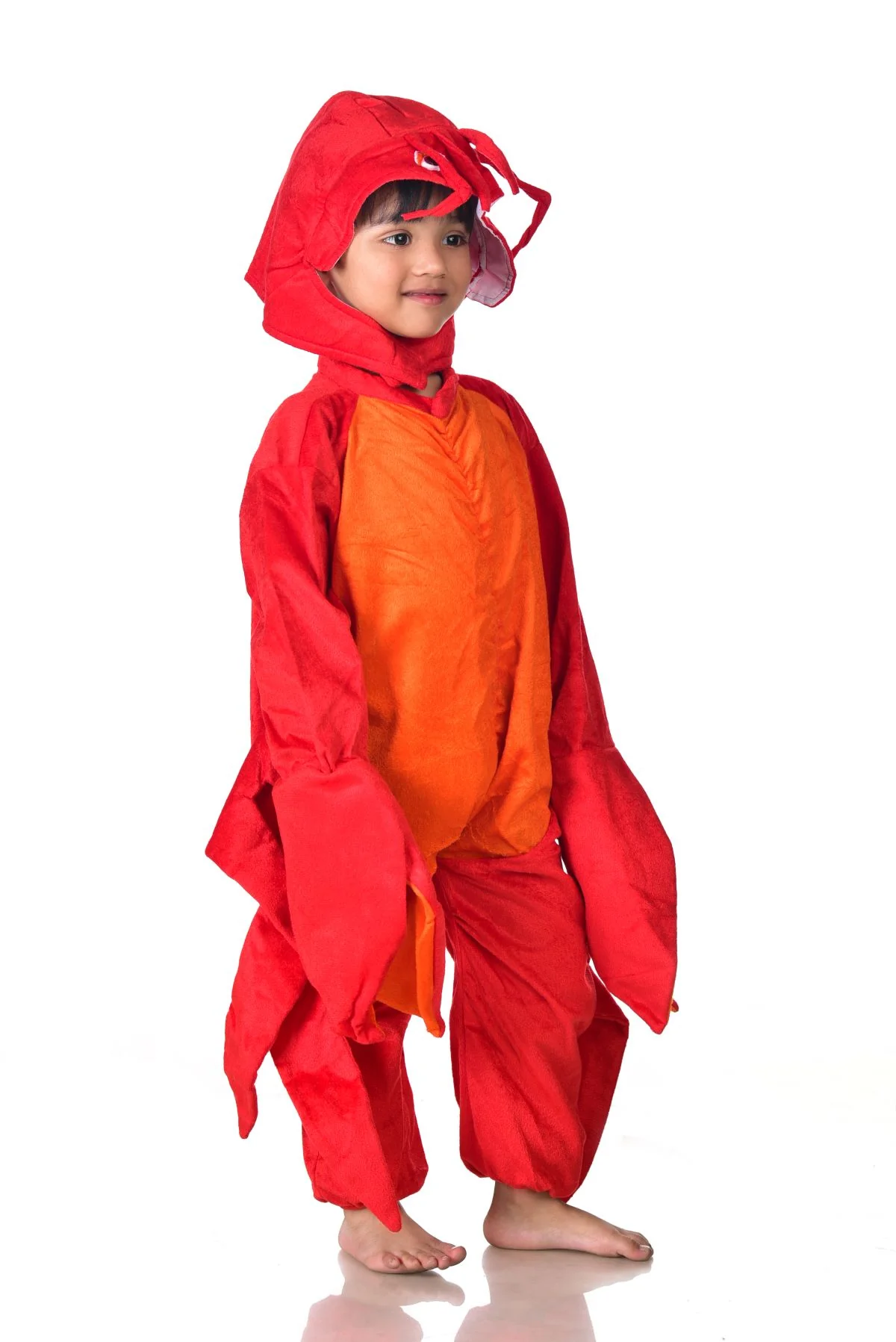 Crab Aquatic Animal  Kids Fancy Dress Costume - Image 3