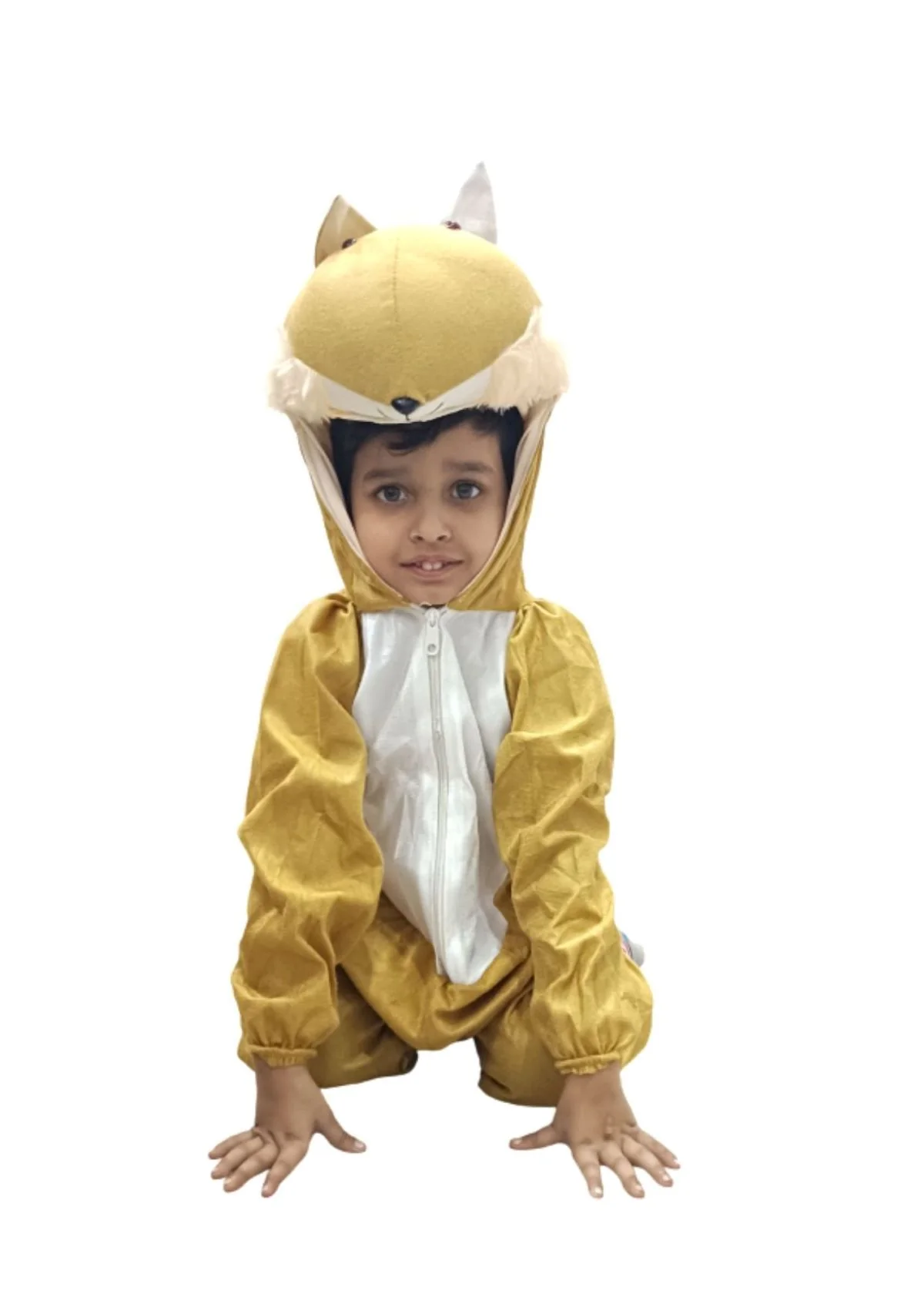 Brown Fox Clever Animal Kids Fancy Dress Costume For Kids - Image 4
