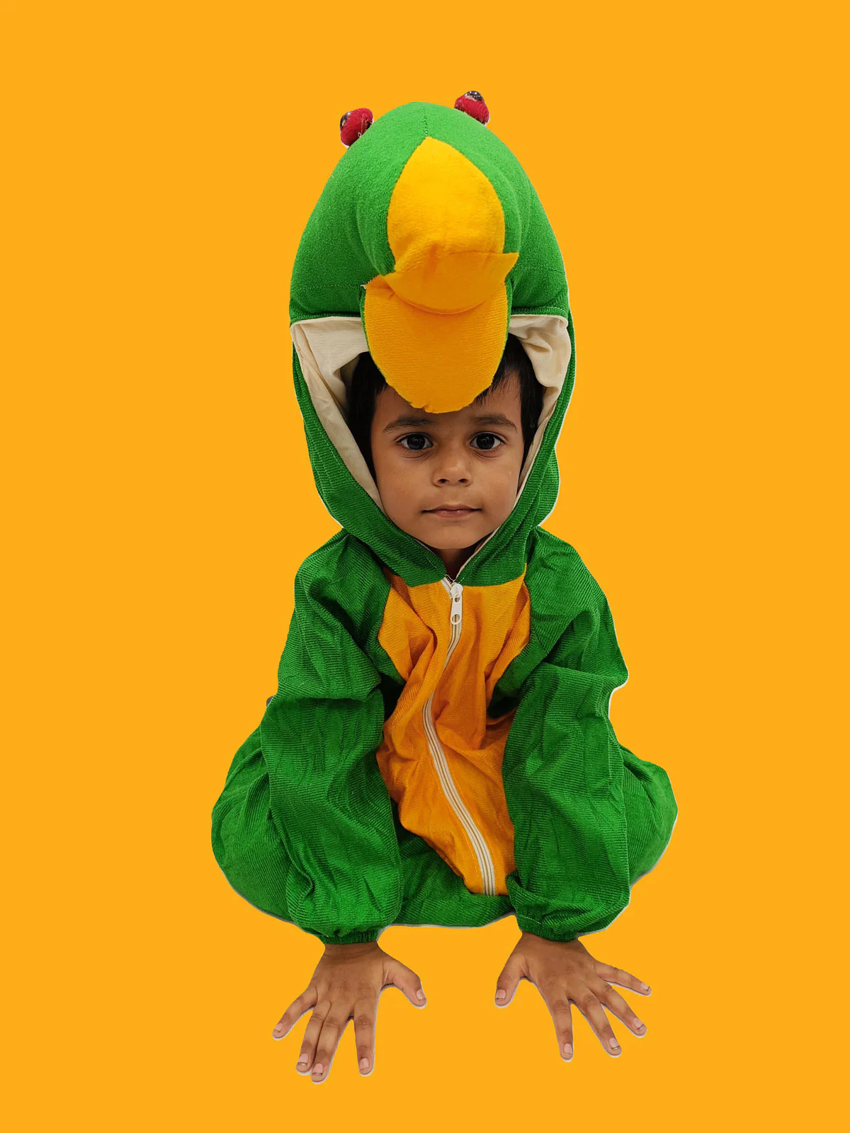 Frog Aquatic Animal Kids Fancy Dress Costume - Image 3