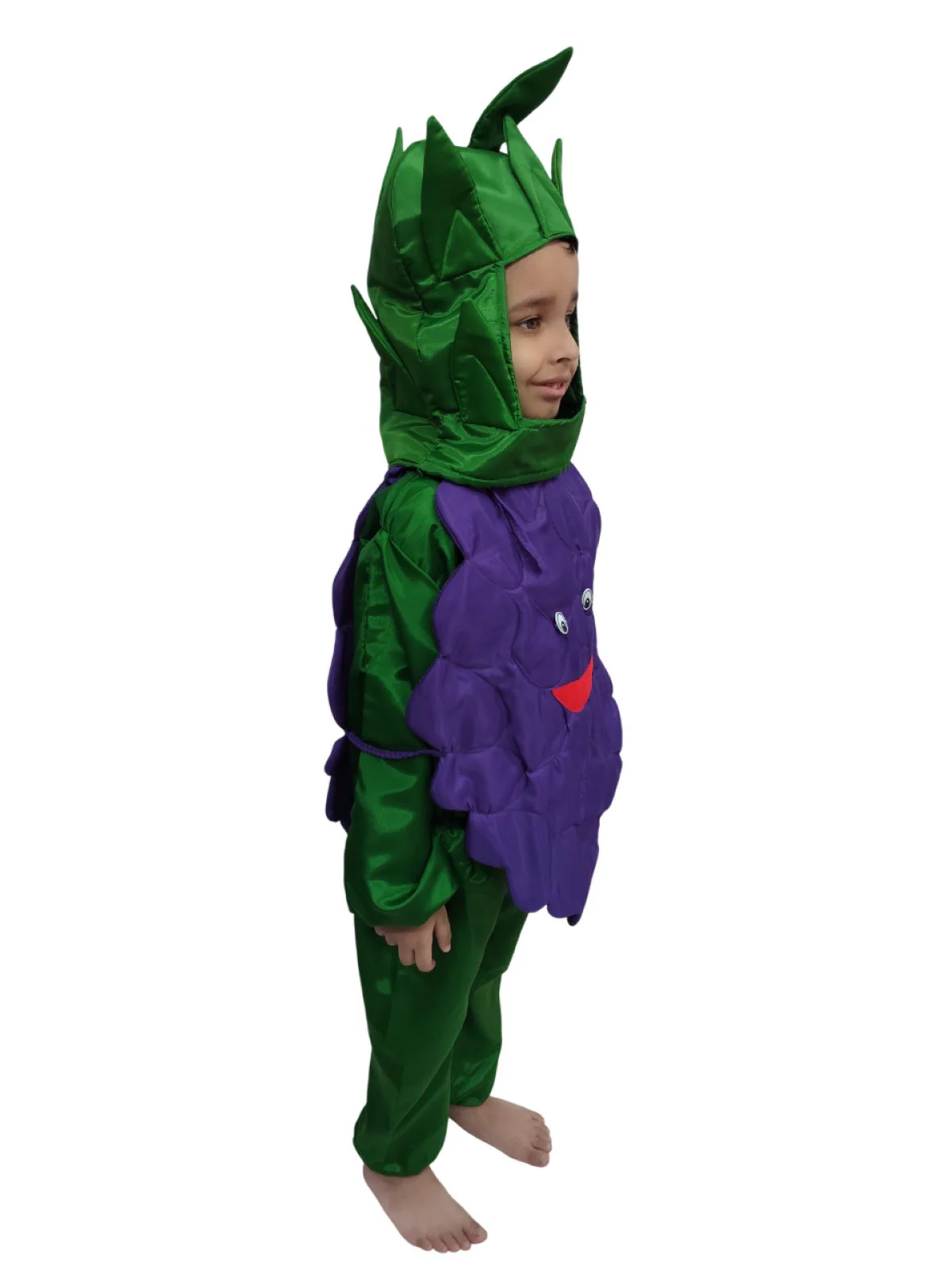 Grapes Purple Angoor Fruit Kids Fancy Dress Costume - Image 3