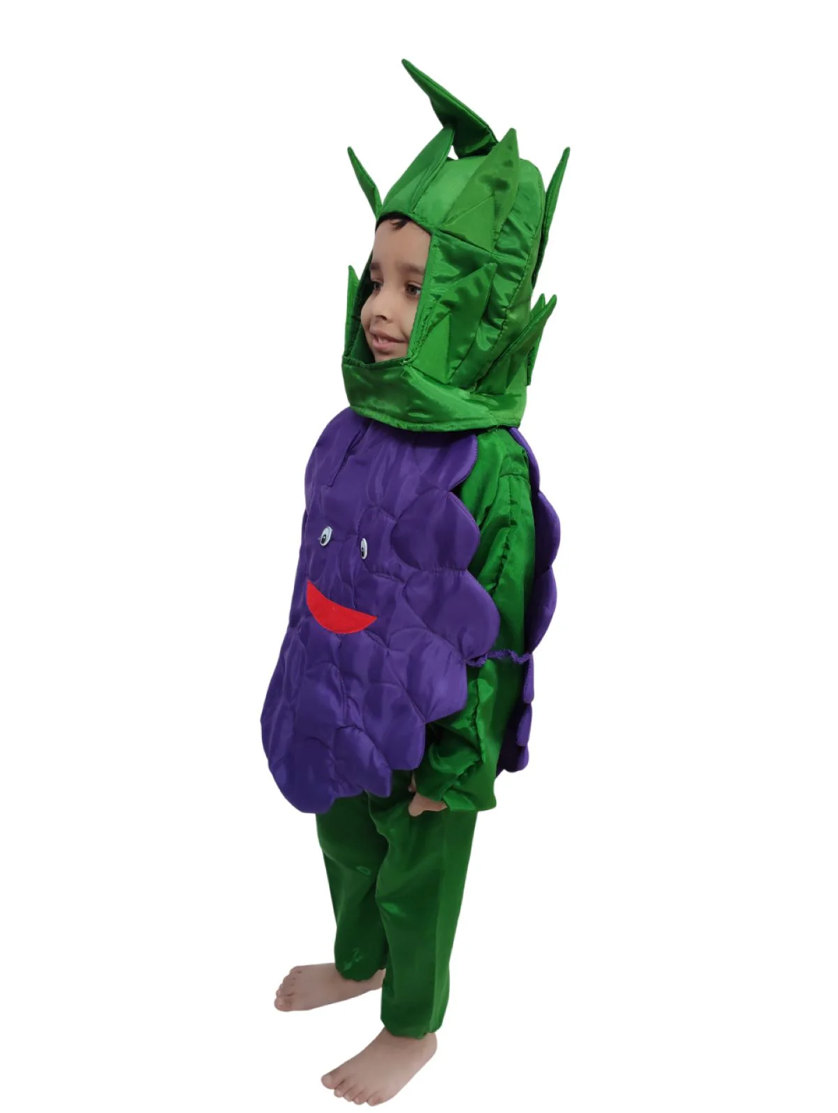 Grapes Purple Angoor Fruit Kids Fancy Dress Costume - Image 5