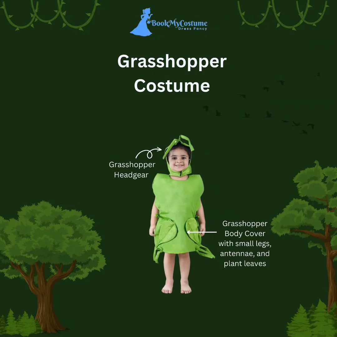 Grasshopper Locust Insect Kids Fancy Dress Costume - Image 3