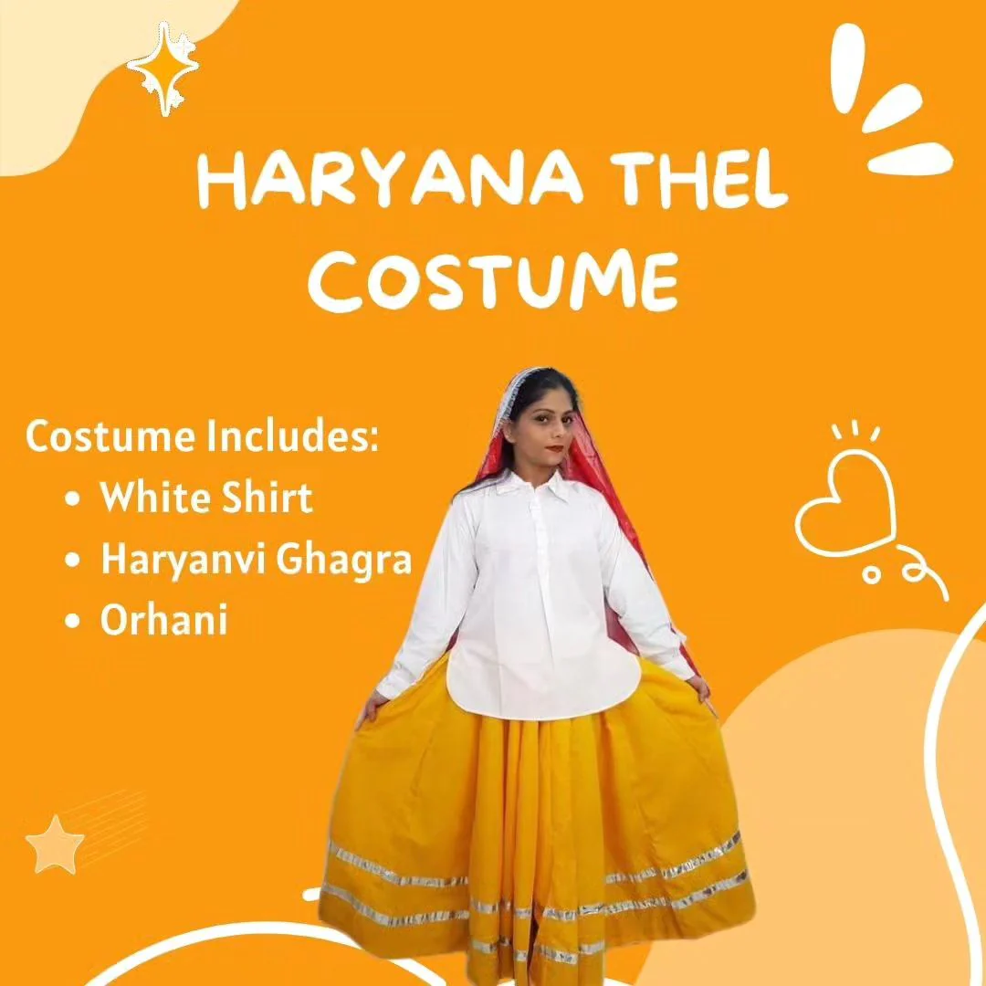 Haryana State Traditional Thel Costume for Girls and Women - Image 5