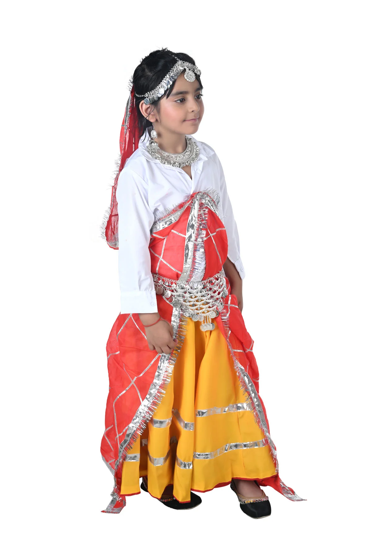 Haryanvi Girl with Jewellery Indian State Kids & Adults Fancy Dress Costume for Girls - Image 2