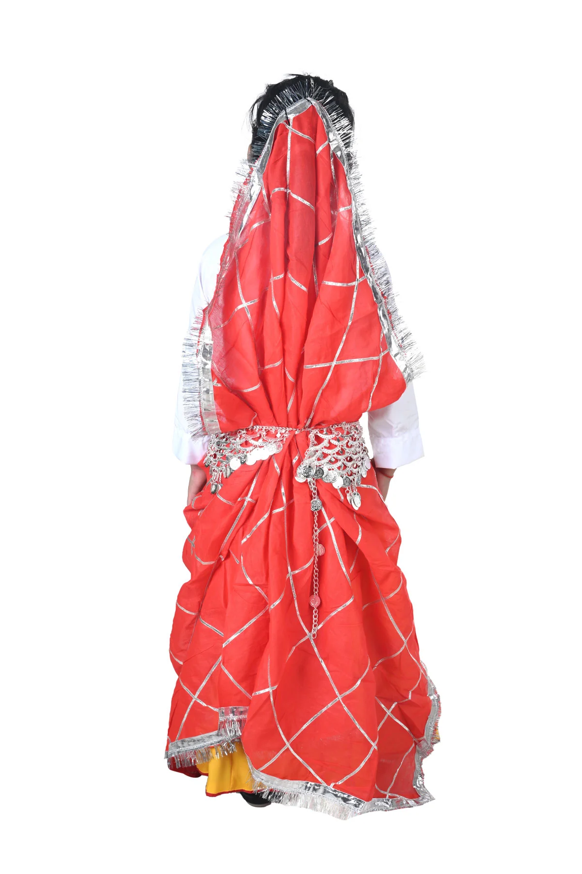 Haryanvi Girl with Jewellery Indian State Kids & Adults Fancy Dress Costume for Girls - Image 3
