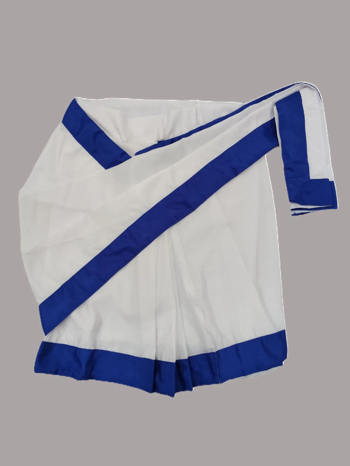 Indira Gandhi Politician Leader Ex-Prime Minister Saree Kids Fancy Dress Costume - Image 17