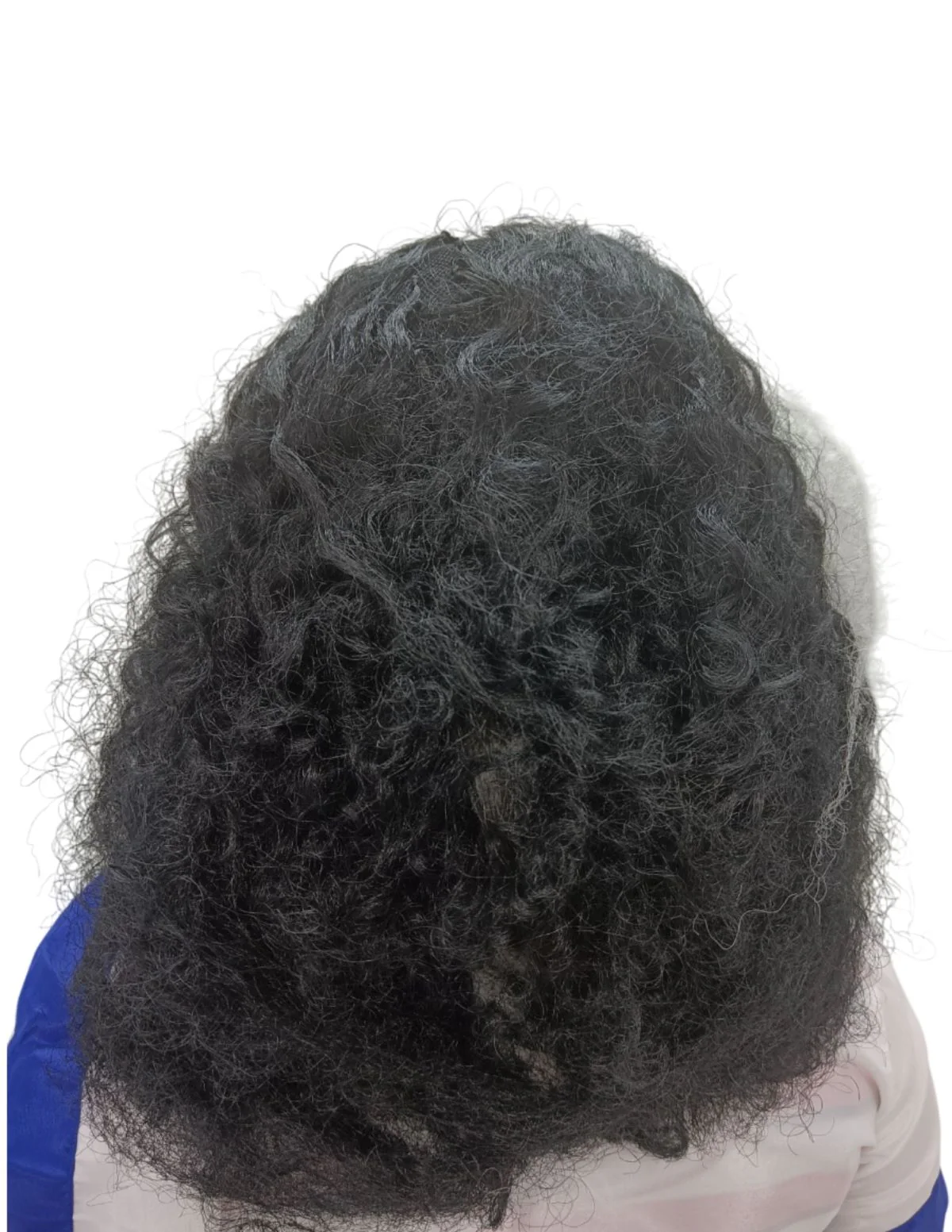 Indira Gandhi Wig for Girls and Women Fancy Dress Costume Accessory - Image 3