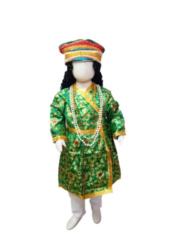 Jalaluddin Muhammad Akbar the Great Mughal Emperor Sultan with Wig for Boys Kids Adult Fancy Dress Costume - Image 4