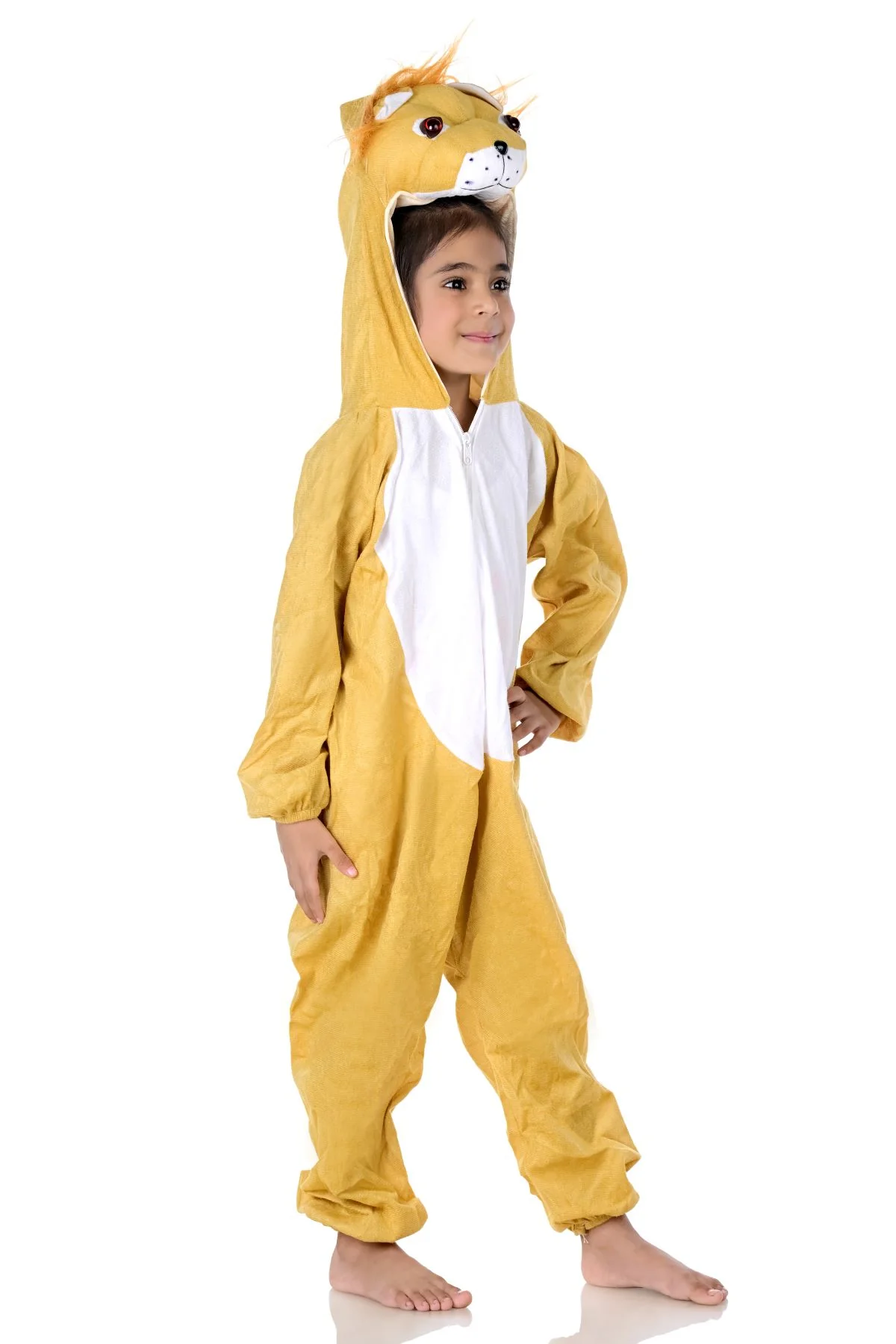 Lion Sher Wild Animal Kids Fancy Dress Costume for School Competitions | Indian - Image 2