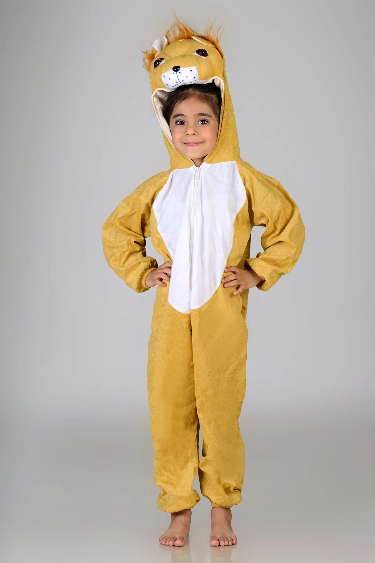 Lion Sher Wild Animal Kids Fancy Dress Costume for School Competitions | Indian - Image 5