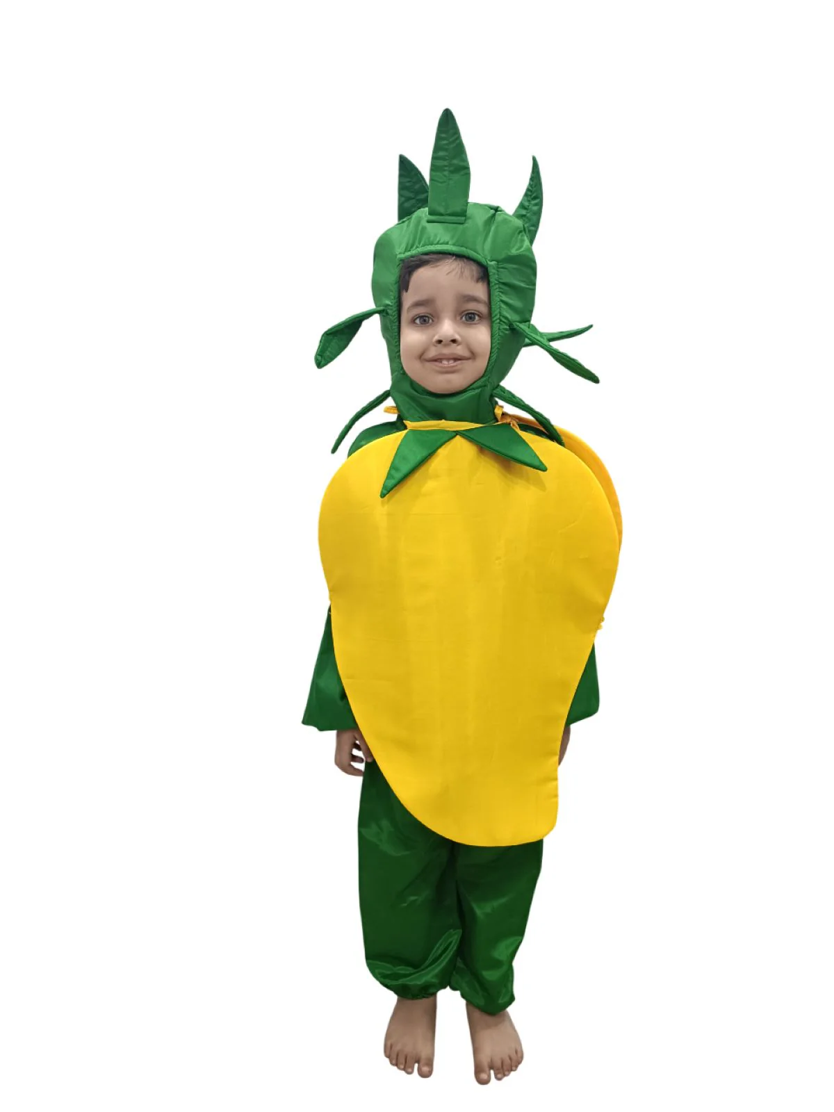 Mango Fruit Kids Fancy Dress Costume