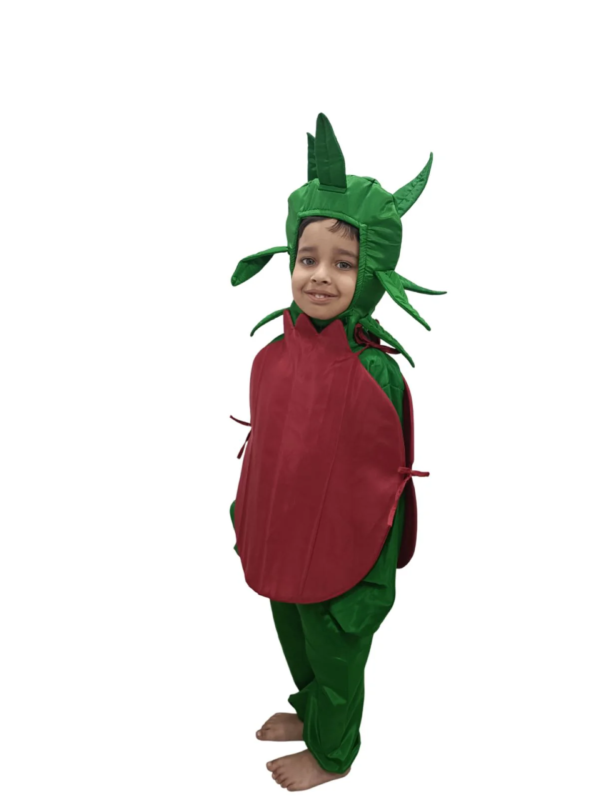Pomegranate Anar Fruit Kids Fancy Dress Costume - Image 4