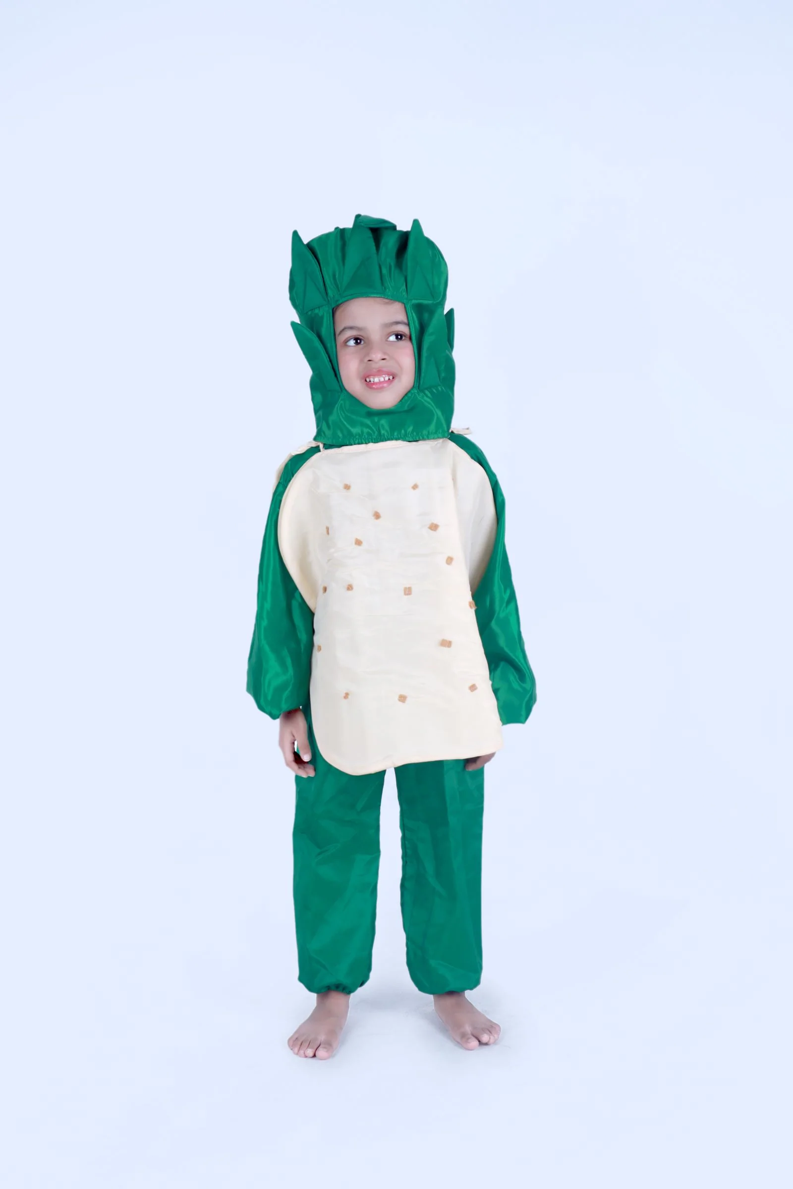 Potato Aloo Vegetable Kids Fancy Dress Costume - Image 5