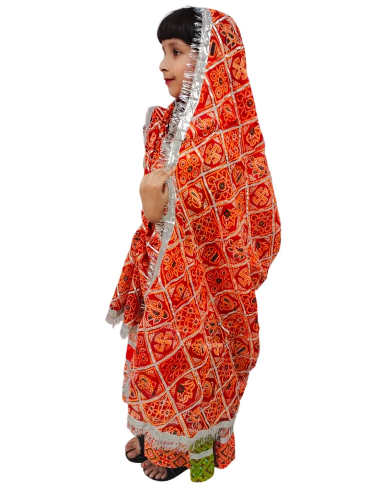 Rajasthani Indian State Fancy Dress Costume for Girls and Females | Without Jewelry - Image 4