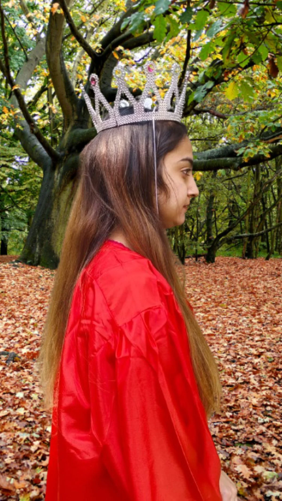 Royal Silver Queen Tiara Crown HeadBand Fancy Dress Costume Accessory for Girls - Image 2