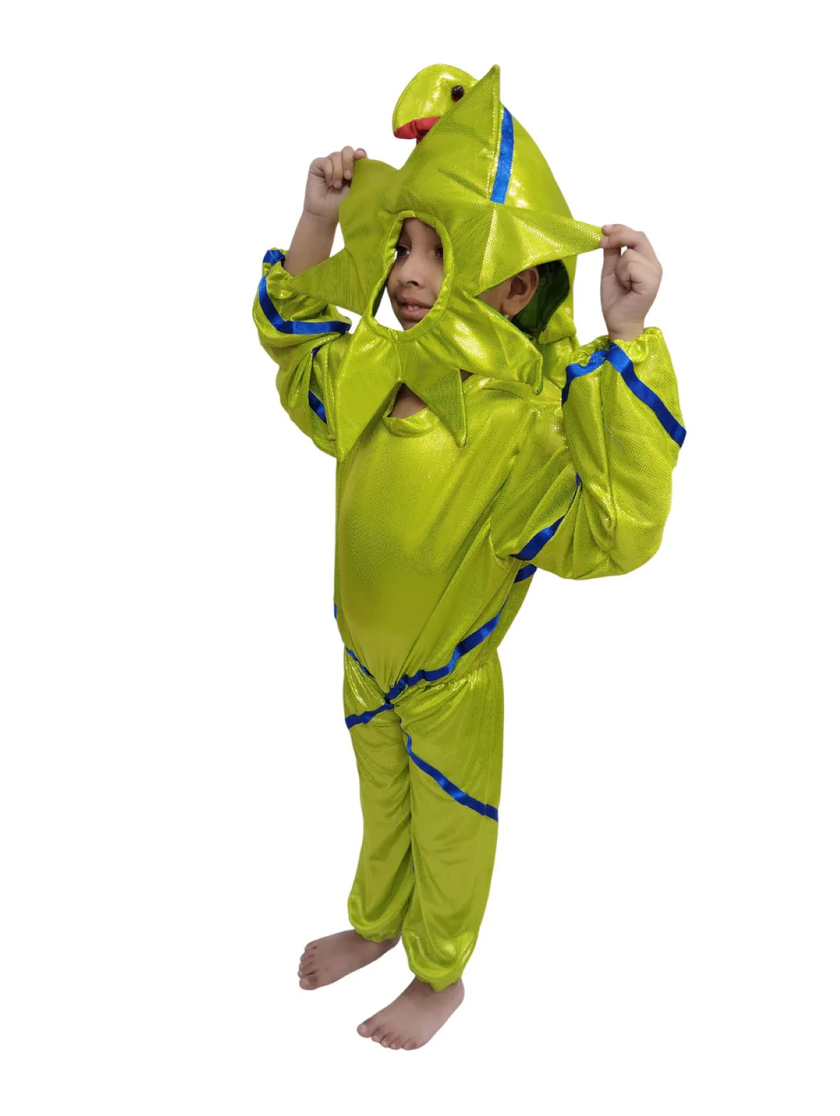 StarFish Star Fish Aquatic Animal Kids Fancy Dress Costume - Image 5