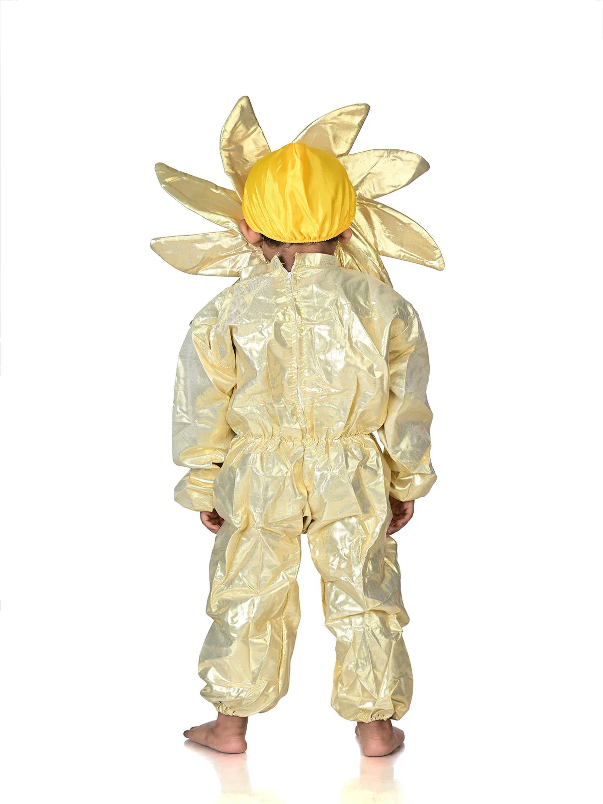 Sun Nature Kids Fancy Dress Nature Costume - Image 4