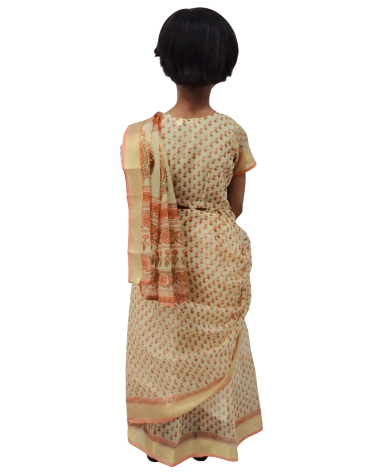 Teacher Profession Classic Saree Kids & Adults Fancy Dress Costume - Image 3