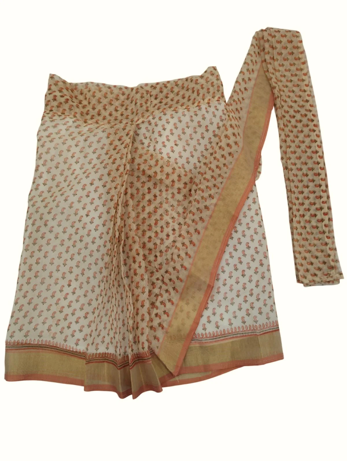 Teacher Profession Classic Saree Kids & Adults Fancy Dress Costume - Image 9