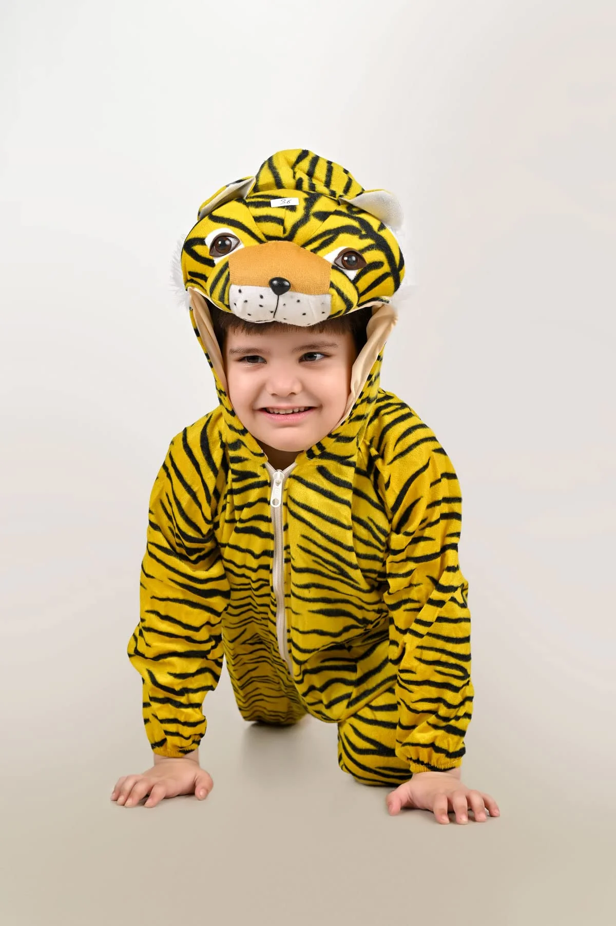 Tiger Bagh Wild Animal Kids Fancy Dress Costume | Indian - Image 5