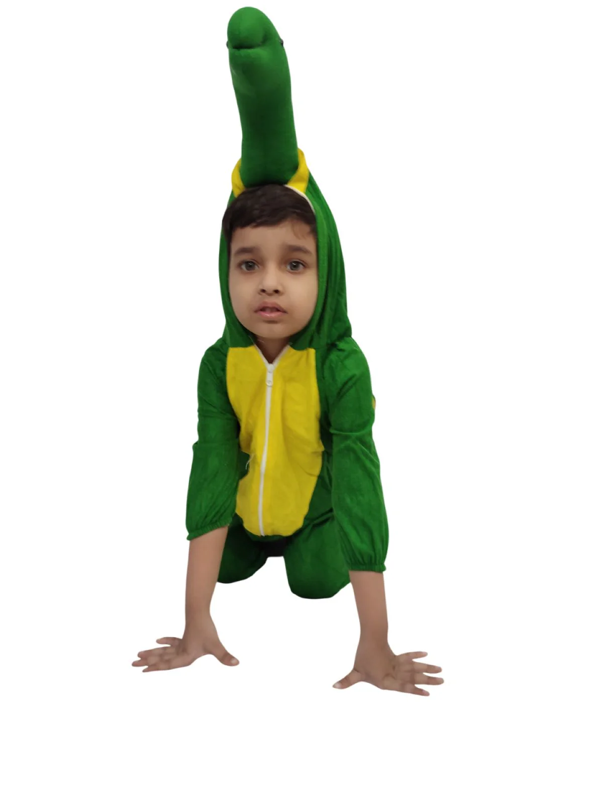 Tortoise Turtle Aquatic Animal Kids Fancy Dress Costume | Premium - Image 3