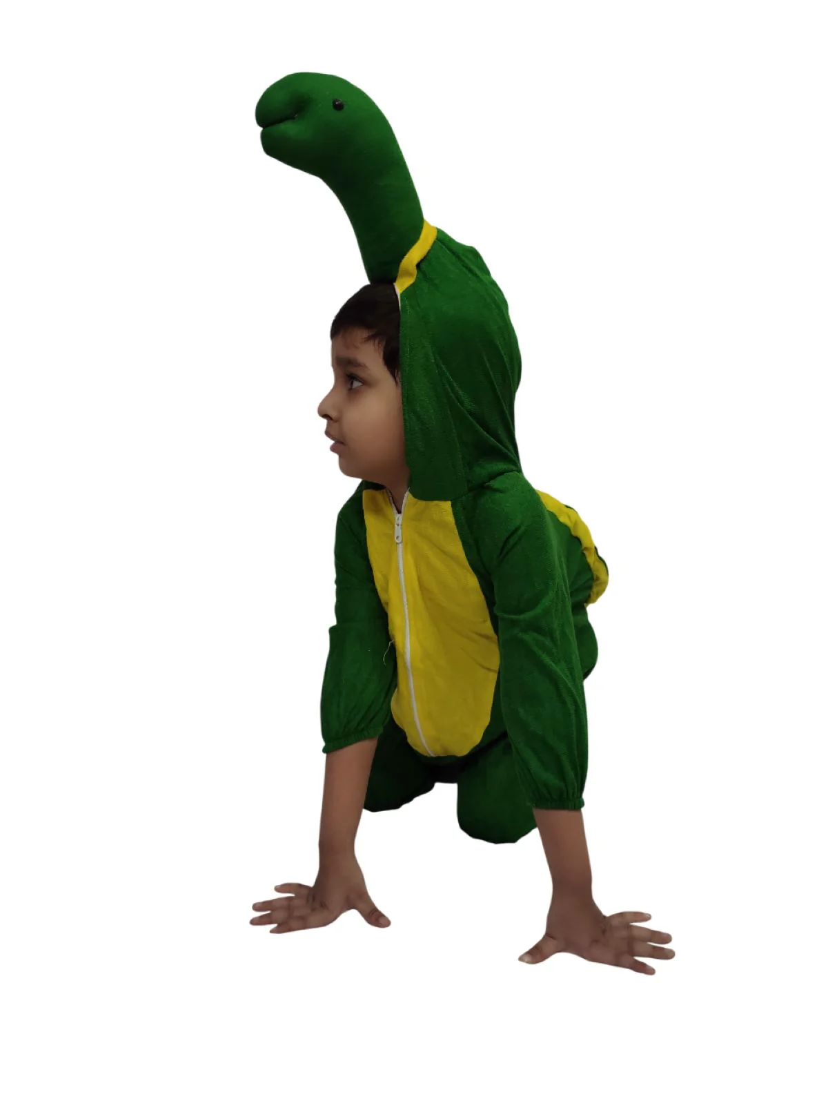 Tortoise Turtle Aquatic Animal Kids Fancy Dress Costume | Premium - Image 7