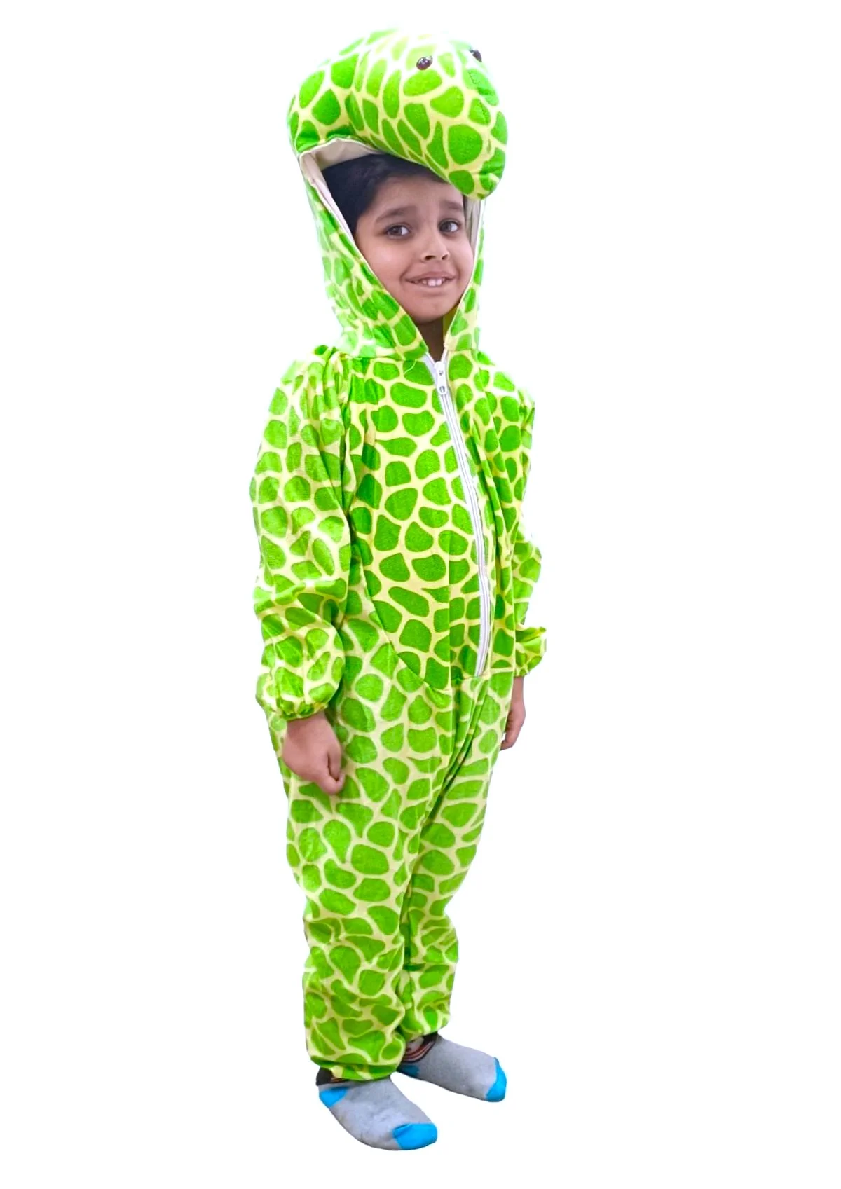 Tortoise Aquatic Animal Kids Fancy Dress Costume - Image 3