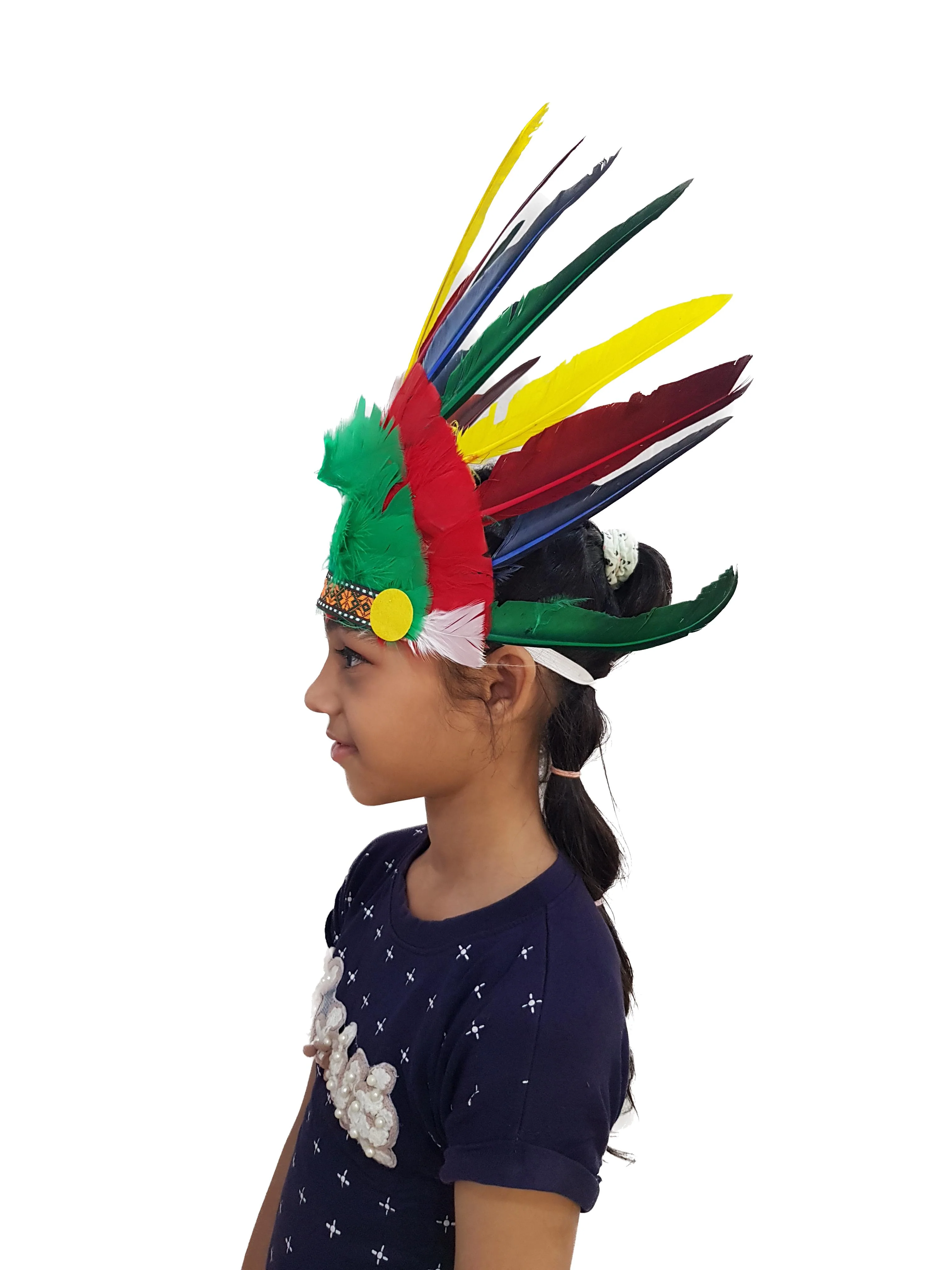 Tribal Multicolor Feather Headdress Crown Fancy Dress Costume - Image 2