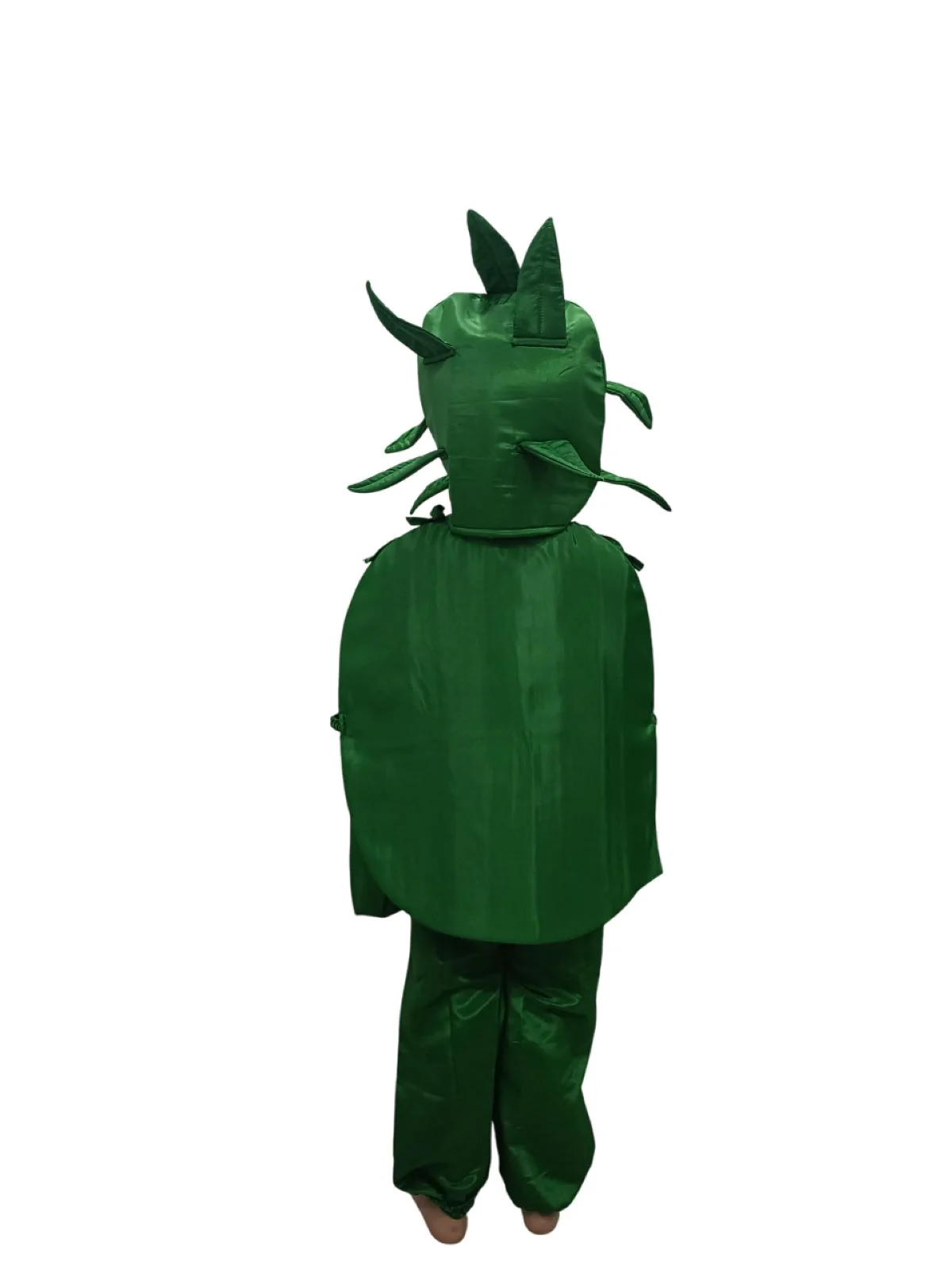 BookMyCosstume Watermelon Fruit Kids Fancy Dress Costume - Image 3