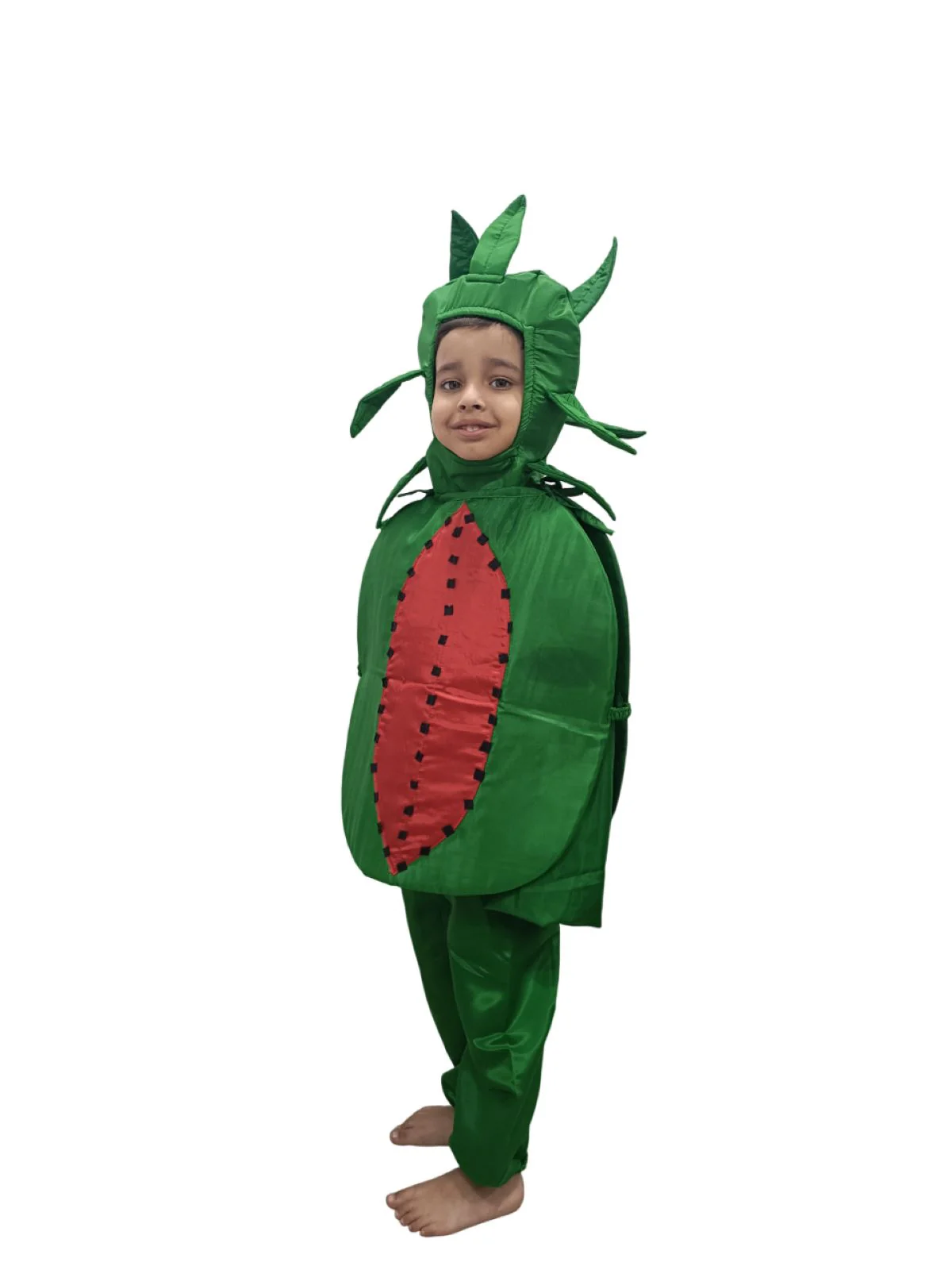 BookMyCosstume Watermelon Fruit Kids Fancy Dress Costume - Image 4